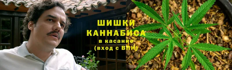 Конопля конопля  цены наркотик  Андреаполь 